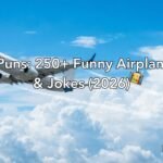 Plane Puns