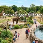 Zoo Puns